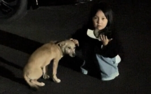 Bumi adalah milik kita semua, anak anjing pun berhak menikmatinya