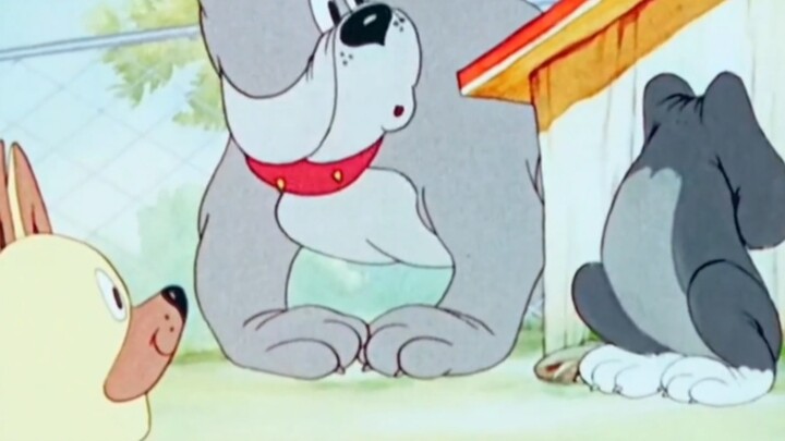 Dog: Which idiot is it?