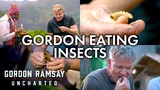 Every Time Gordon Eats An Insect | Gordon Ramsay: Uncharted