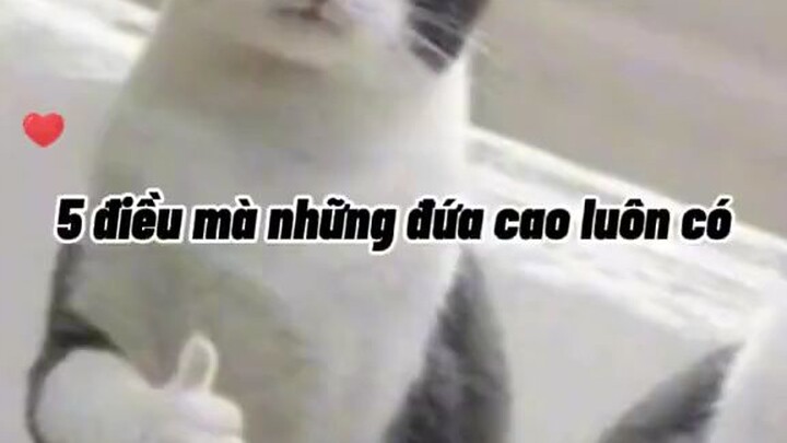 những đứa cao mất dạy vl 🙂