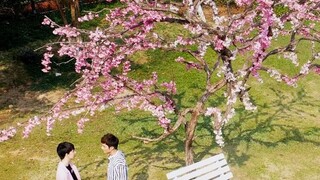Phim truyền hình Miến Điện "Guilty Love" phụ đề tiếng Trung trailer @Xi Translation Group