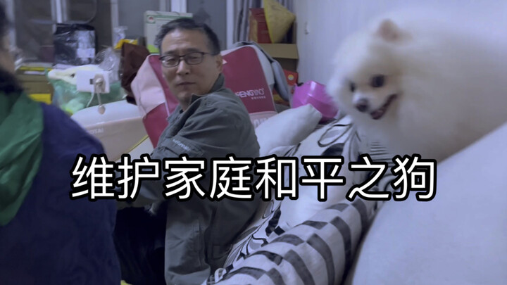 “Anyone who stirs up trouble in this house will have to face my punishment, the dog!”
