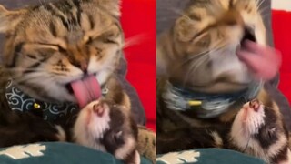 ความเจ็บปวดของช่างทำผม