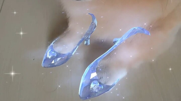 เมื่อฉันลองใส่เอฟเฟกต์รองเท้าแก้วให้กับน้องหมา: ใช่ ขาหมามันสั้น แต่ก็ไม่ได้แปลว่ามันไม่มีเท้าจะใส่ร