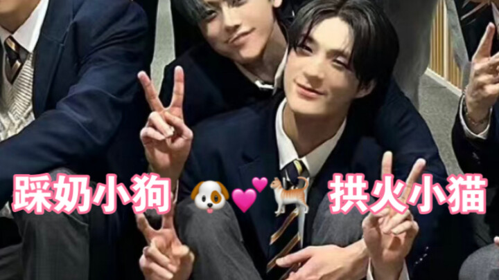 【شياو دو】قطع (الاستلقاء للخلف)، يا لهما من مشاغبين حقًا