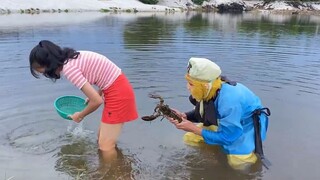 บิวตี้มีกุ้งล็อบสเตอร์อยู่หลังตูด