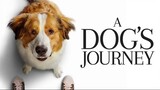 A DOGS JOURNEY FULL MOVIE 2019 [TAGALOG DUBBED]