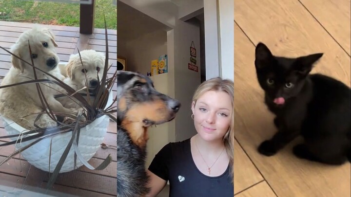 เป่าก็เลยคอยแต่ทำเรื่องวุ่นๆ อยู่เรื่อยไป