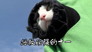 If I can't help all the cats, then I'll just take good care of this one—right up until it grows old.