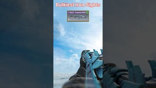 Bulkiest iron sights in CODM