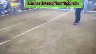 Lemon sweater