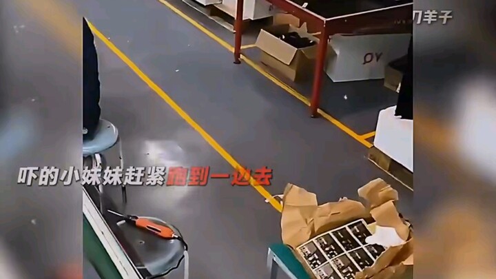 Làm việc trong xưởng 10 tiếng mà không được thanh toán lương, xem cách phản pháo đầy khí thế như thế