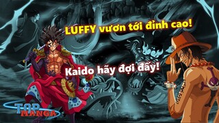 Ý chí của Ace được kế thừa - LUFFY vươn tới đỉnh cao!