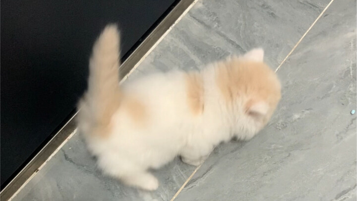 My body has already reacted, but my brain hasn’t caught up yet—does anyone know the principle behind