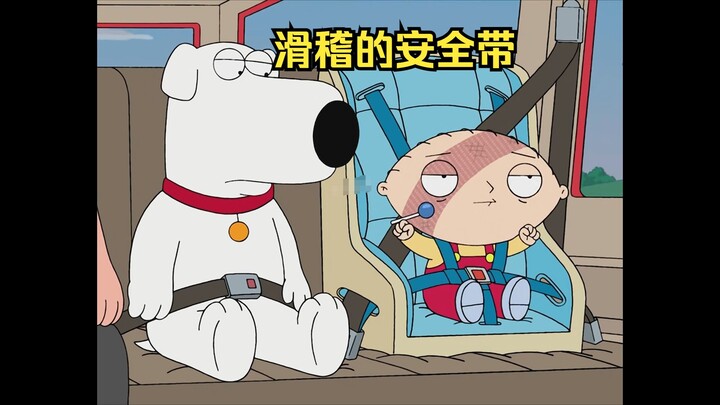 Tiểu Câu Tử thắt dây an toàn, lại còn buộc nó lên đầu