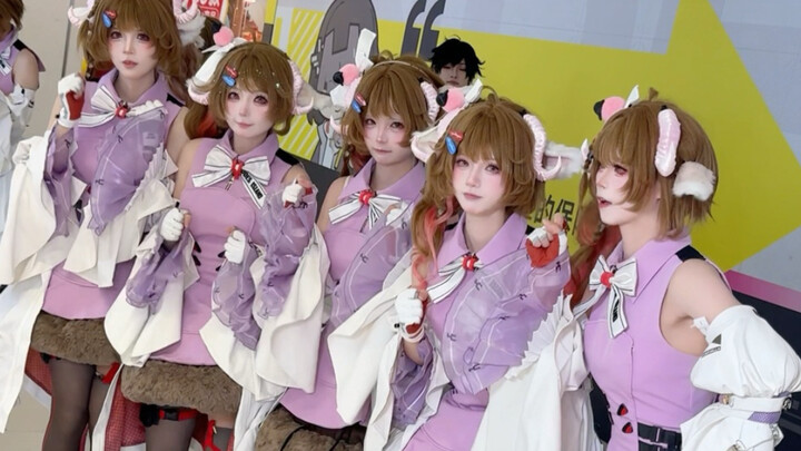 Choose Your Little Lamb