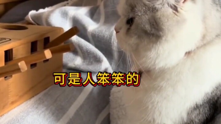 This is my cat! My cat! Mine! All mine! (Creepy, twisted crawl)