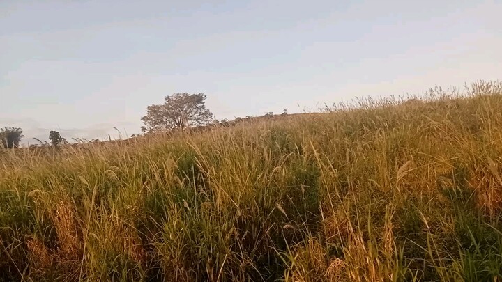 What a beautiful place