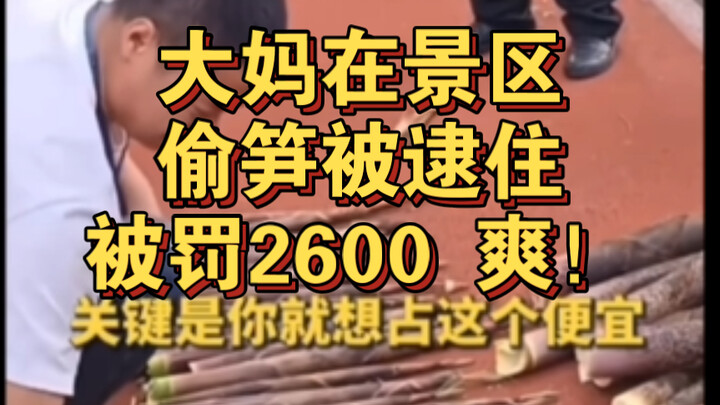 An auntie was caught stealing bamboo shoots at the scenic area and was fined 2,600—serves her right!