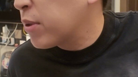 Selamat membeli model!