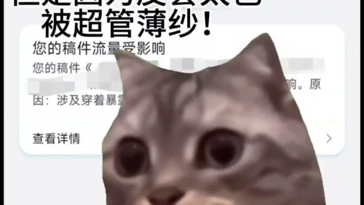 [Cat Meme] Sự nghiệp ảo của bạn còn chưa bắt đầu mà đã sắp tốt nghiệp vì bao da chật quá¿