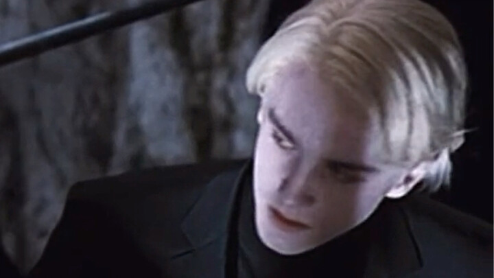 【دركو مالفوي】لولا أنك أبي، لكنت ضربتك بالتأكيد!