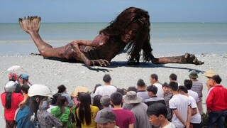 Hàng trăm người dân kéo đi xem "Nàng Tiên Cá" ngoài đời thực dạt vào bờ biển