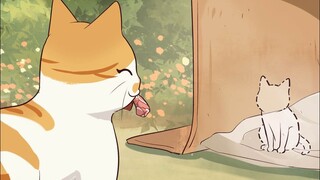 The cat mom gives all her love to her kittens, but somehow forgets to love herself.