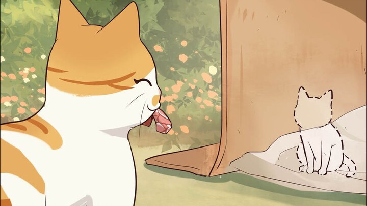 Mẹ mèo dành hết tình yêu cho mèo con, nhưng lại duy nhất quên yêu chính mình.