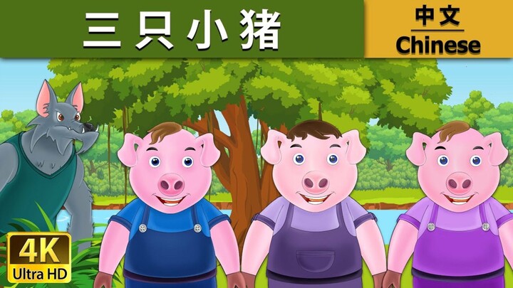 三只小猪 |Three Little Pigs in Chinese |@Chinese Fairy TalesFairy Tales