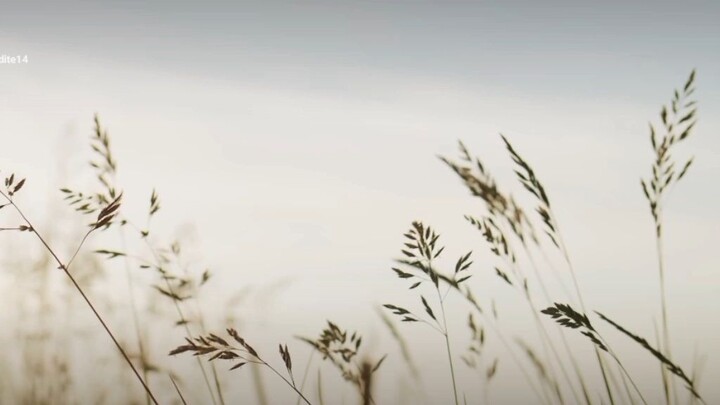 We can't be friends by Ariana Grande