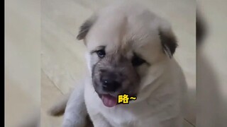 "Let's go for it: a little bit~~"