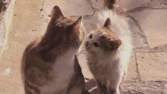 #At kong tayong dalawa ay tumanda