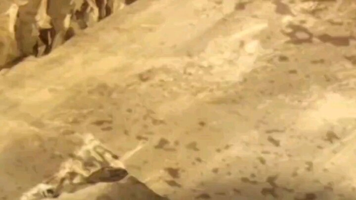 Yang penting beres 🤣 #fyp #viral #anime #opm #saitama #genos