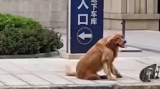 ไม่ใช่ว่าหลังก่อตั้งประเทศแล้วห้ามวิญญาณสำเร็จเป็นปีศาจเหรอ?