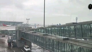 高冷的妈，麻木的爸