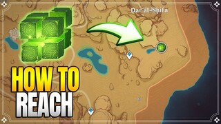 How to reach Dendro Hypostasis | World Quests & Puzzles |【Genshin Impact】