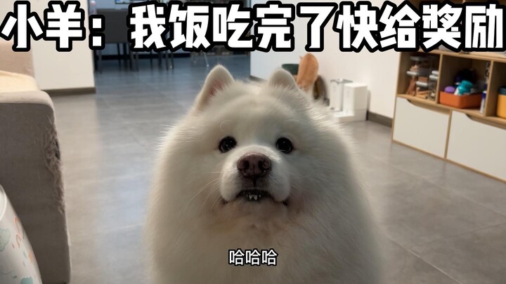 The little puppy is quite thoughtful!