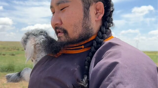 宝 拉 A 梦