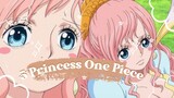 Cewe-cewe yang ga ada obat, Fix no Debat 5 Princess tercantik dan terkuat Di One Piece