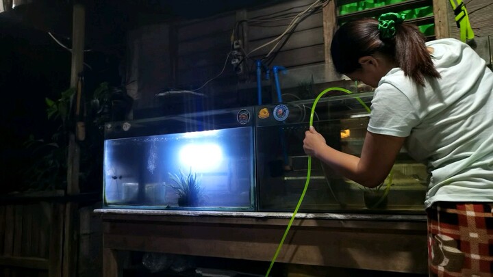 Water Change si Misis sa aming Aquarium