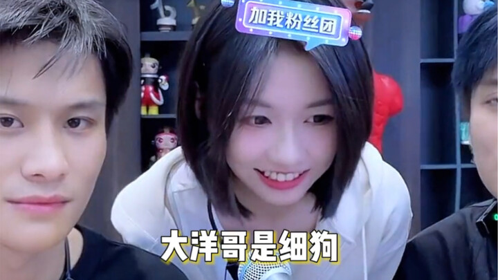 Cô gái “Tế Cẩu” họ Trình xuất hiện trong livestream của Tiểu Dương Ca, vừa mở miệng đã khiến cư dân 