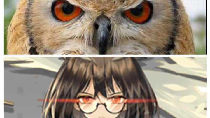 [Arknights] Inventory of Van's fully consistent animal prototypes with a similarity of 99% (Medium)