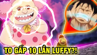 BĂNG HẢI TẶC KHÔNG LỒ?! | NHỮNG NGƯỜI TỘC KHỔNG LỒ MẠNH NHẤT TRONG ONE PIECE