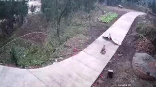 “我爬坟头拿的”四川女童领弟弟玩耍拖俩花圈回家，奶奶一看气到昏厥