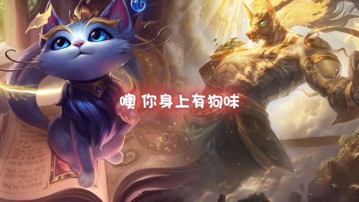 What do cats say when they possess different heroes?