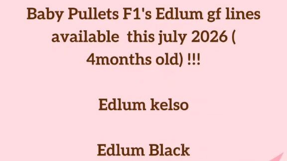 For interested....