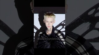 Ở Đâu Có Bướm Nơi Đó Có Chị || Ngô Trà Li - 吴茶狸