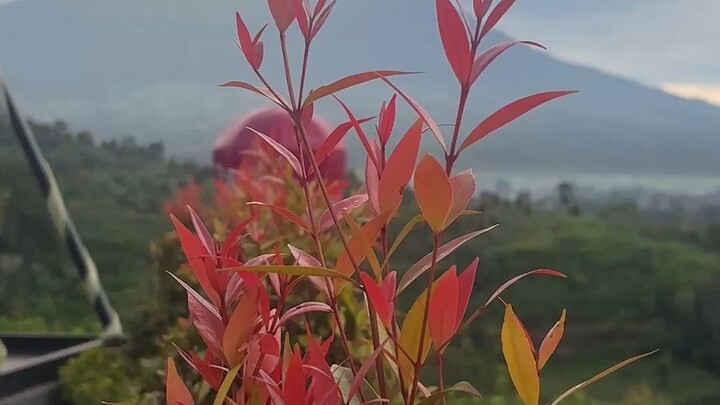 kerinci mountain