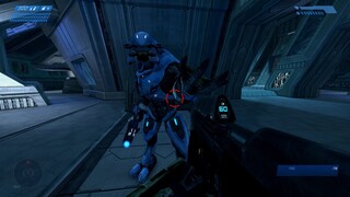 Elites can also kick in Halo 1 Anniversary